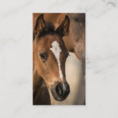 Rendez-vous Carte de visite professionnel Horse Stables (Devant)