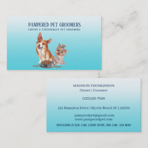 Rendez-vous Carte de visite Spa de chien de chien de taille