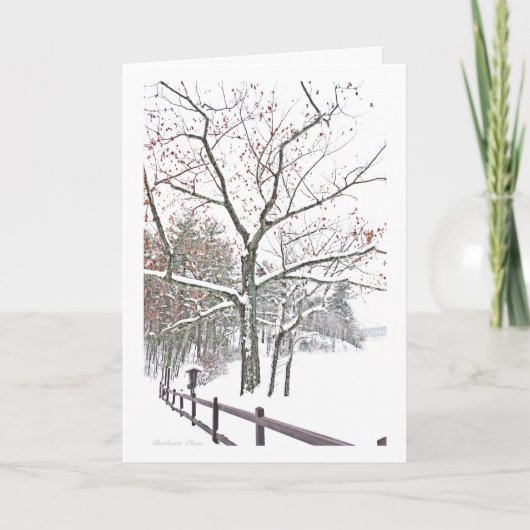 Rendez-vous dans la nature : Salutation de vacance (Devant)