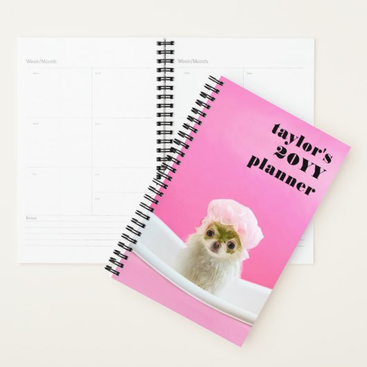 Rendez-vous des professionnels de l'élevage des an (Devant avec enveloppe)