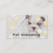 Rendez-vous pour la baignade des animaux domestiqu (Devant)