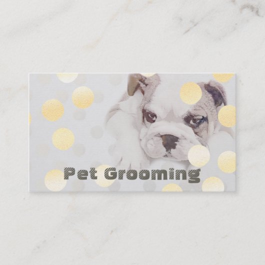 Rendez-vous pour la baignade des animaux domestiqu (Devant)