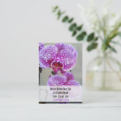 Rendez-vous pourpre varié de photo d'orchidée (Debout devant)