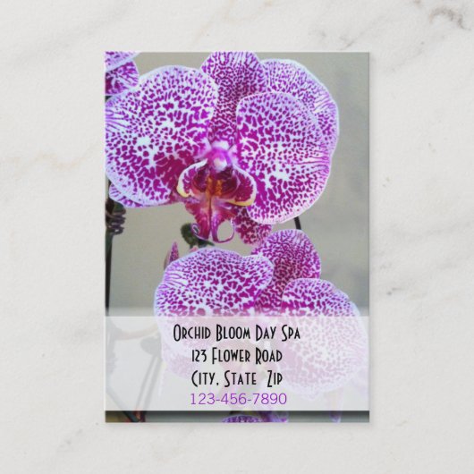Rendez-vous pourpre varié de photo d'orchidée (Devant)