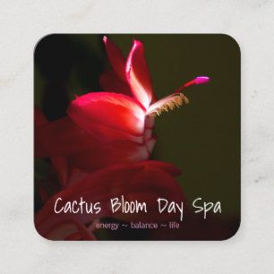 Rendez-vous rose de photographie de fleur de