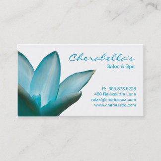Rendez-vous Spa - bleu de carte de visite de thérapie de