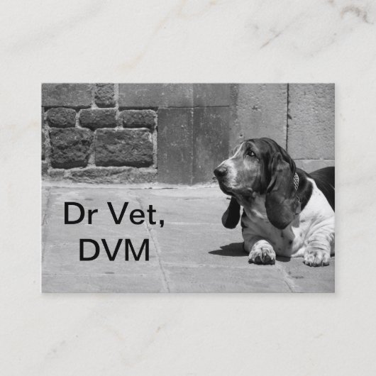 Rendez-vous Vet Carte de visite III (Devant)