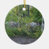 rendier in Lapland ornament (Voorkant)