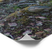 rendier in Lapland poster (Hoek)