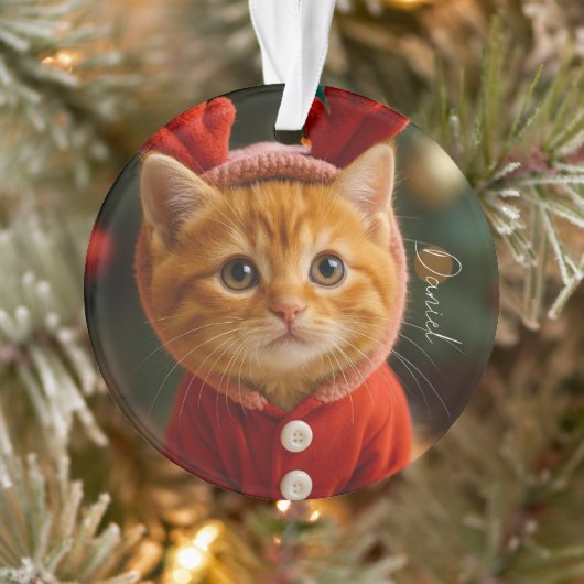 Rendier Kitten Ornament (Boom)