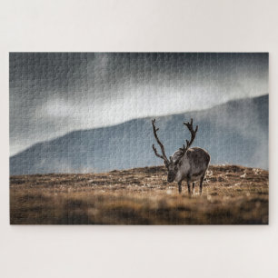 Rendier Natuur Foto Legpuzzel