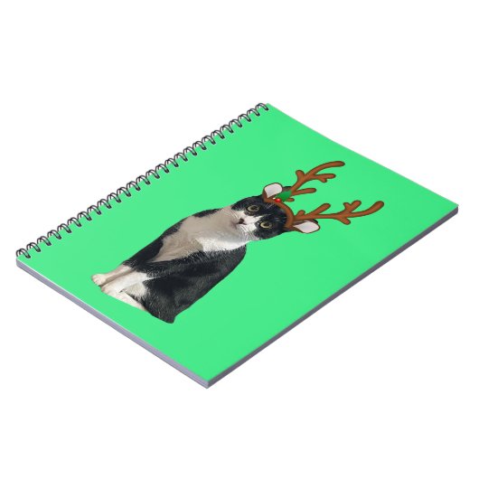 Rendiercalliope Notitieboek (Linkerzijde)