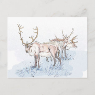 rendieren in het Briefkaart Sneeuwafdrukken
