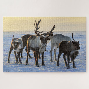 Rendierfamilie in de sneeuw legpuzzel