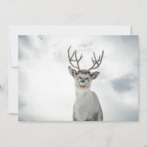 rendierfotokaart