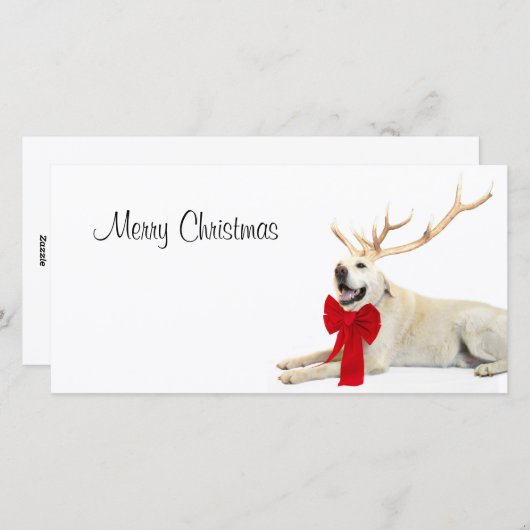 Rendiergeel lab feestdagenkaart (Voorkant / Achterkant)