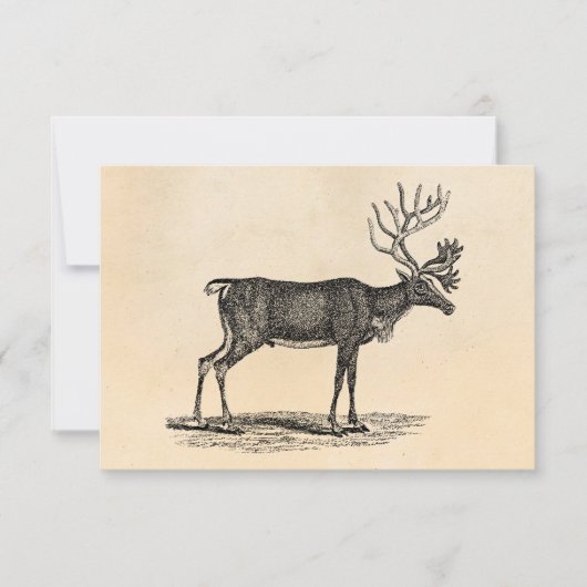  rendierillustratie - Kerstmis van 1800 Kaart (Voorkant)