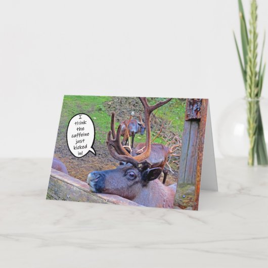 rendierschotel met kaart (Voorkant)