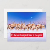 rendiervarkens uitnodiging briefkaart (Voorkant / Achterkant)