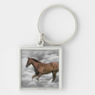 Rendpaard Sleutelhanger