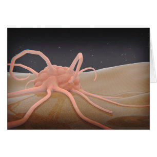 Rendu 3D De La Phagocytose De Macrophage