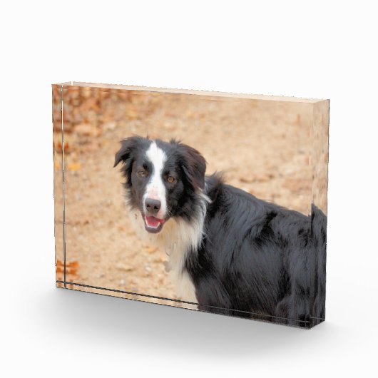 Rene Fotoblokken (Rechts)