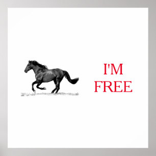 Rennend Paard Zwart Wit Ik Ben Vrij Vrijheid Poster