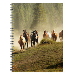 Rennende paarden op ranch in Montana Notitieboek