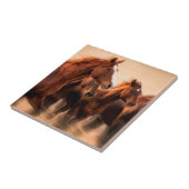 Rennende paarden, vage contouren en wapperende man tegeltje (Zijkant)