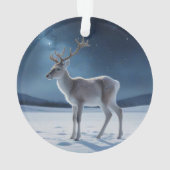 Rennes la veille de Noël (dos)