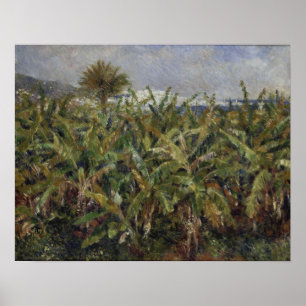 Renoir - Banaanboomgaard Poster