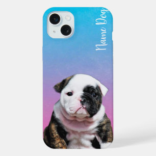 Renommez votre chien anglais bulldog sur les dossi