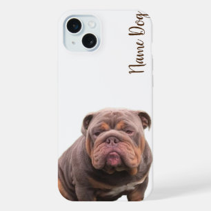 Renommez votre chien bouledogue anglais sur les ét