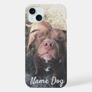 Renommez votre chien Pitbull sur les boîtiers télé