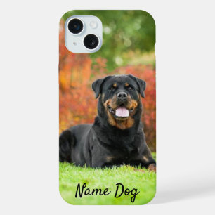 Renommez votre chien Rottweiler sur les boîtiers t