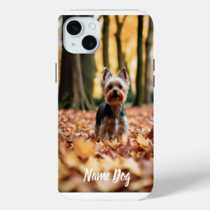 Renommez votre chien Yorkshire Terri sur les boîti