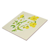 Renoncules de carreau de céramique de cuisine de (Côté)