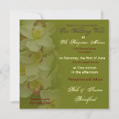 Renouvellement des avis des Mariages - Invitations (Dos)