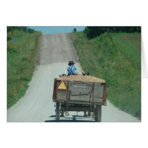 Rentrer à la maison