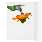Repas de colibri sur la mouche (Intérieur (Gauche))