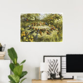 Répétition à Fairyland Poster de Richard Doyle (Bureau à domicile)