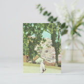 Replica  Algeris, Panorama van de stad Briefkaart (Staand voorkant)