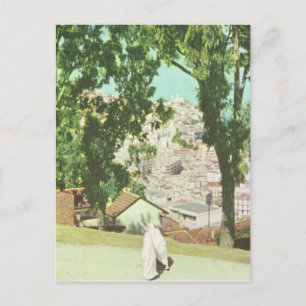 Replica  Algeris, Panorama van de stad Briefkaart