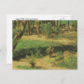 Replica Egypte, Nile delta agriculture Briefkaart (Voorkant / Achterkant)