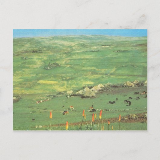 Replica  Ethiopië, dorp conische huts Briefkaart (Voorkant)