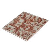 Repo Antiek Pomegranate Botanical Art Kitchen Tegeltje (Zijkant)