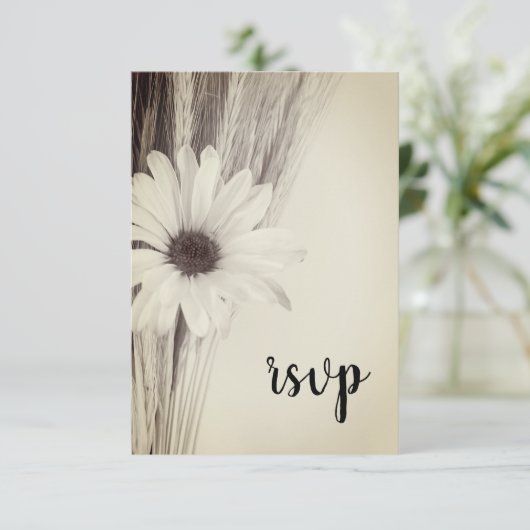 Réponse de mariage de ferme de campagne de blé séc (Debout devant)