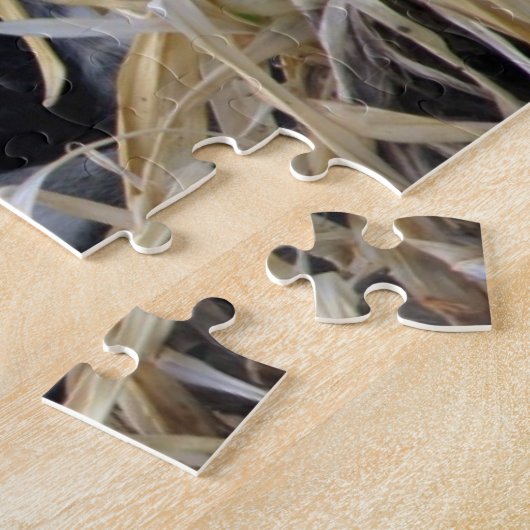 Repose de chats dans le puzzle Bushes (Côté)