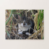 Repose de chats dans le puzzle Bushes (Horizontal)