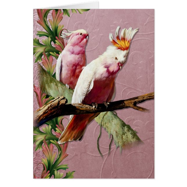 Repose de Cockatoos roses - Personnaliser (Devant)